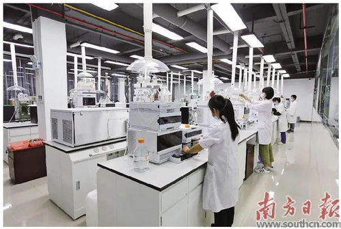 蓬江 以科技創(chuàng)新為引擎，新材料研發(fā)驅(qū)動(dòng)產(chǎn)業(yè)升級(jí)