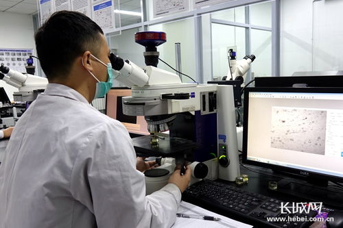 四通新材 防控生產(chǎn)雙驅(qū)動(dòng)，國內(nèi)外訂單全面恢復(fù)，新材料研發(fā)蓄力未來